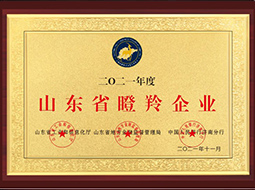 ɽ�|ʡ������I